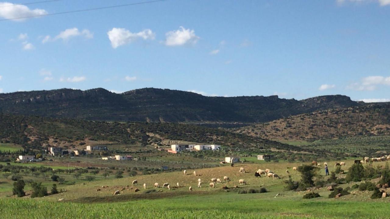 האממט Villa Phoenicia מראה חיצוני תמונה